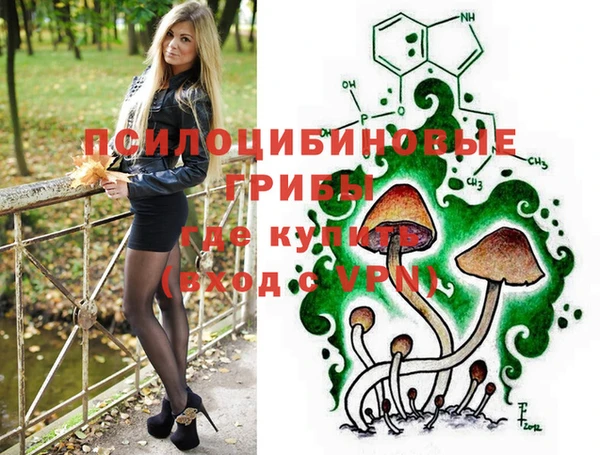 mdpv Медвежьегорск
