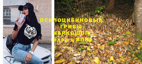 ПСИЛОЦИБИНОВЫЕ ГРИБЫ Михайловск